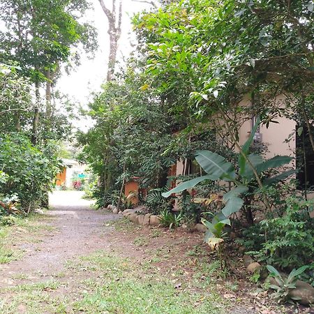 Casitas Del Bosque Monteverde. 객실 사진