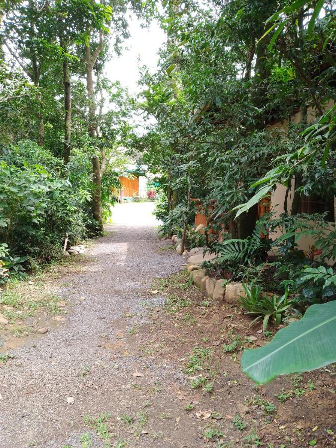 Casitas Del Bosque Monteverde. 외부 사진