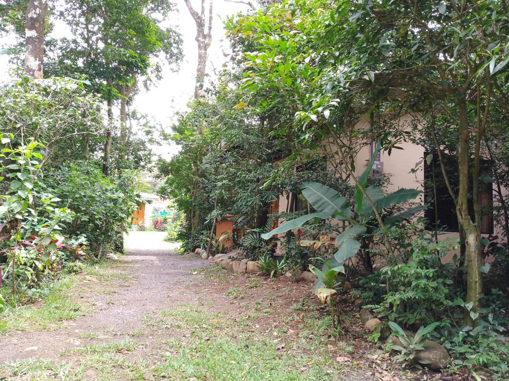 Casitas Del Bosque Monteverde. 객실 사진